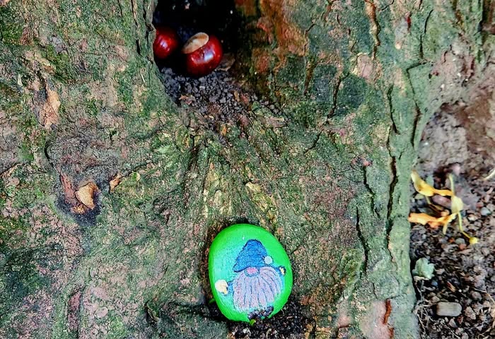 Hamilton Ontario Painted Rocks  #hoprocks
