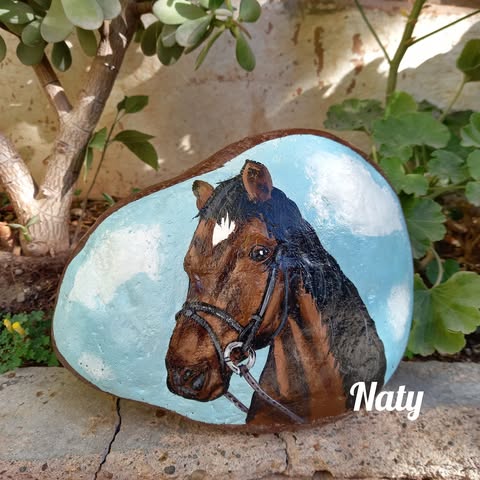 mis piedras pintadas