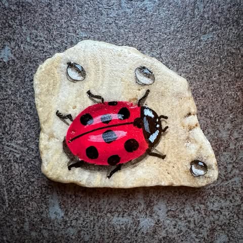 rock painting ideas