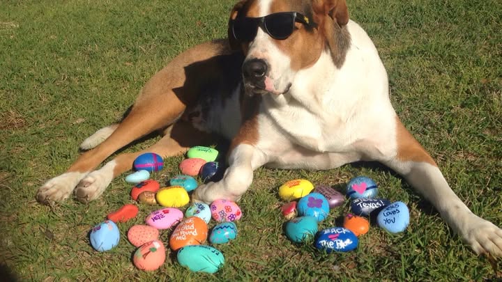 Texarkana Painted Rock Hunt #txkprh