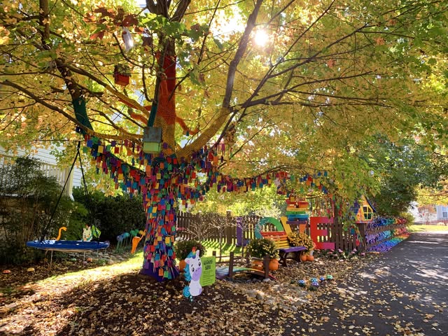 The Kindness Rocks Project (Leesburg, VA)