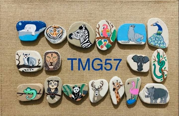 TMG57 (trouve mon galet 57 et alentours)