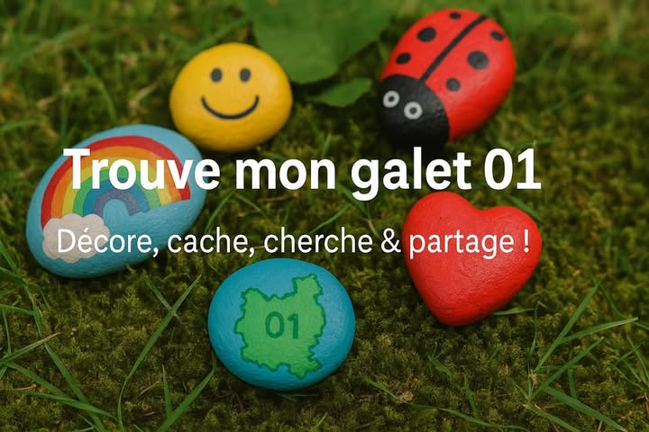 Trouve mon galet 01 : TMG01