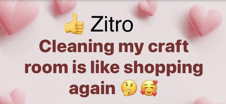 🤪 Zitro Rock Painting & Craft MEMES/Quotes 😊